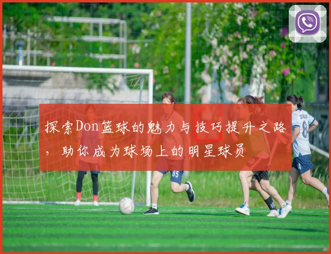 探索Don篮球的魅力与技巧提升之路，助你成为球场上的明星球员
