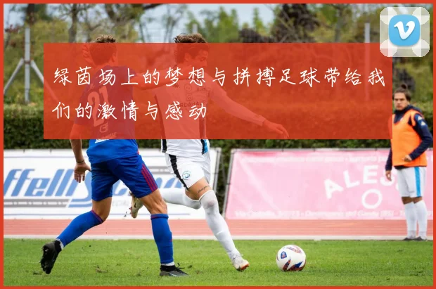 绿茵场上的梦想与拼搏足球带给我们的激情与感动